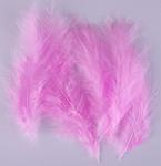 Marabu feathers