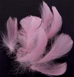 Goose feathers 8-12cm / 10pcs