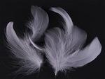 Goose feathers 8-12cm / 10pcs