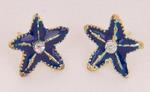 Earrings star 10x10 mm