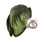 Pearl for sewing ø 10mm POLIN