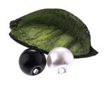 Pearl for sewing ø 10mm POLIN
