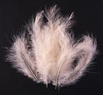 Marabu feathers