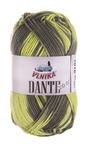 Dante color Yarn