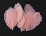 Goose feathers 5-7cm / 20 pcs