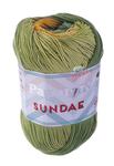 Papatya Sundae Yarn