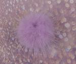 Pom pom mink 40mm