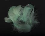 Goose feathers 8-12cm / 10pcs