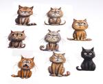 Iron-on decal CAT 6 cm