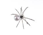 Spider brooch white 55x45mm