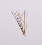 Pet whiskers 50 pcs/5 cm