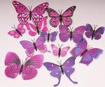 Set of 12 butterflies with magnet