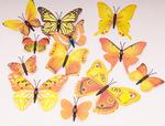 Set of 12 butterflies with magnet