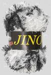 Jino Yarn