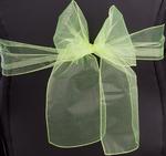 Ribbon organza 20x275 cm