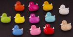 Button 13x13 mm duck